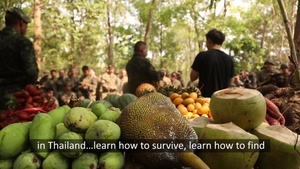 Cobra Gold 20: US, Royal Thai Marines participate in jungle survival training