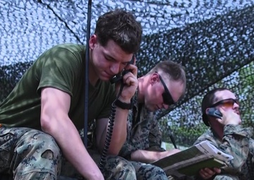 Cobra Gold 20: US, Royal Thai Marines join forces for final exercise rehearsal *B-Roll*