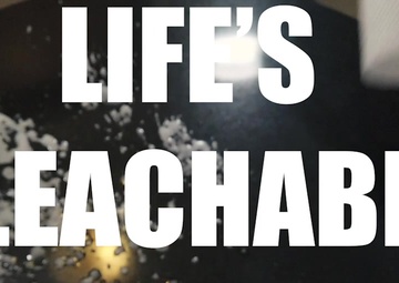 Life's Bleach-able Flu Season