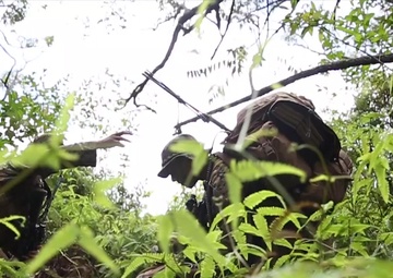 3/3 Bougainville I Exercise