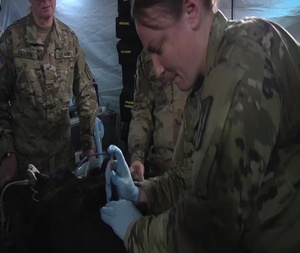 Operation Courageous Defense B Roll March 5 2020
