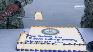 AFN Now: Newly Upgraded Pier Opens at NSA Bahrain