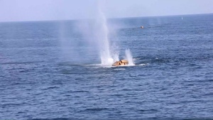 USS Bataan Live fire Exercise