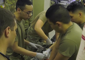 Operation Courageous Defense