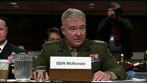 DOD Official Testifies on FY 2021 Defense Authorization Request