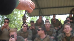 Cobra Gold 2020: Royal Thai Marines teach 31st MEU MRF jungle survival (B-Roll)