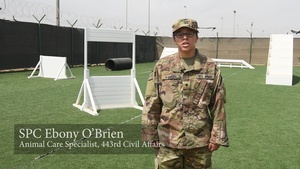 SPC O'Brien Army Reserve Birthday Shout Out