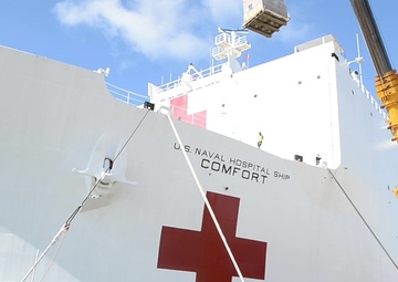 Navy Hospital Ships COVID-19