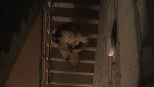 U.S. Marines Conduct Urban Operations Training in the UAE