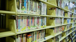 Ramstien Library Online Options