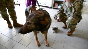 COVID-19 and Pets (TV Pkg2, NO GRAPHICS)