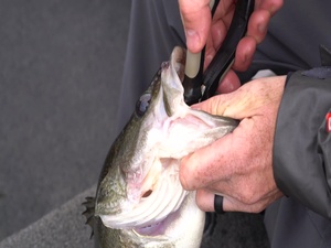Angling for Focus: 1CTCS Airman recenters using rod, line (BROLL)