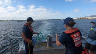 Coast Guard and NOAA personnel conduct whale disentanglement training