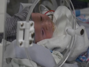 Twin infants evacuated from South Korea amidst COVID-19 crisis News Package