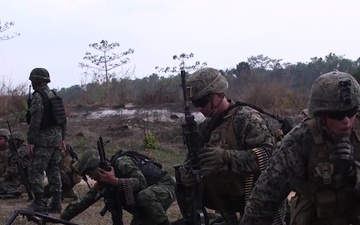 Cobra Gold 20: Royal Thai, U.S. forces conduct bilateral live-fire range (B-Roll)