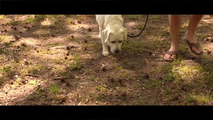 COVID-19 Stress Commercial: Part 7