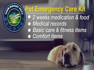 Pet Welfare During COVID-19 Pandemic