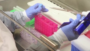 USAMRIID Biosafety Level 3 Door Sign & Scientists at work