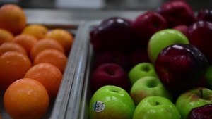 Veterinary Services Food Safety