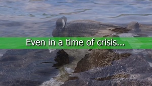 Earth Day 2020