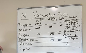 oIV Vasoactive Medication Basics for the Non-Intensivist