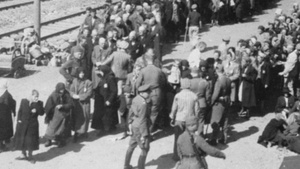 Holocaust Remembrance Stories