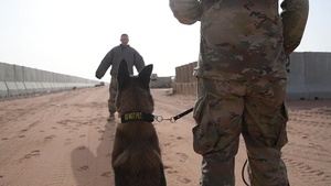 PSAB Sandy Jobs: MWD