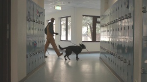 86th SFS conducts MWD training on Ramstein