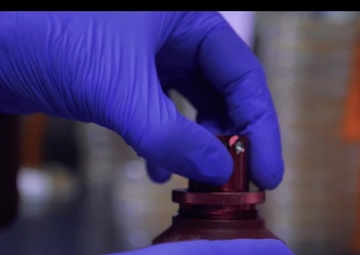 Navy All Hands: Battle Rhythm