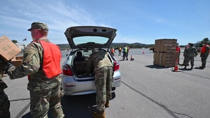 National Guard Soldiers support Vermonters in Springfield