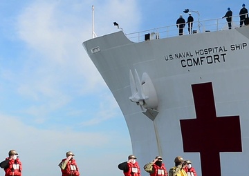 Navy Hospital Ships COVID-19