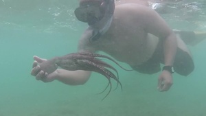 Eye for Tako