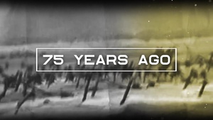 U.S. Army Europe V-E Day Salute