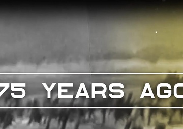 U.S. Army Europe V-E Day Salute