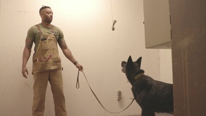 86th SFS conduct MWD training (Part 1)
