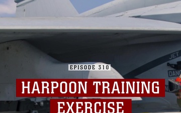 Marine Minute: Harpoon Training Exercise