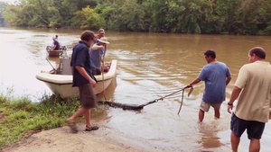 Tracking the Endangered Atlantic Sturgeon