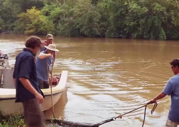 Tracking the Endangered Atlantic Sturgeon