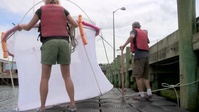 Understanding Sonar in the Marine Environment