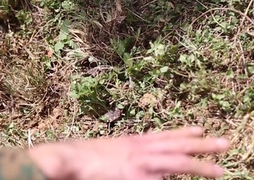 IED Confirmation and Recognition Course