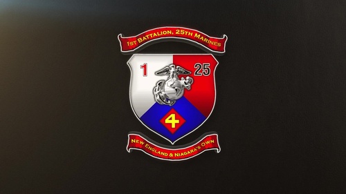 1/25 completes tour with 3rd Marine Division