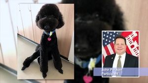 Camp Zama MWR hosts the first ever Virtual Dog Show