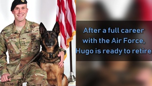 Hugo, Retired Military Working Dog
