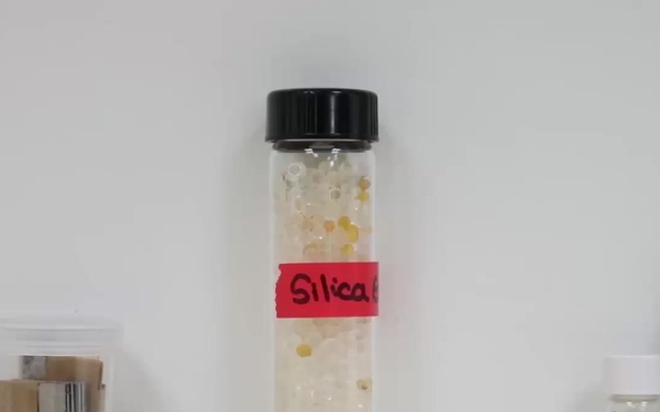 Breathing Life into Anunu or Sicyos macrophyllus