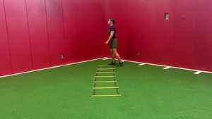 Ladder Scissor Switch