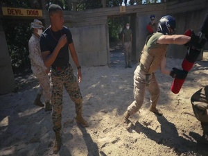 Pugil Sticks and Boxing