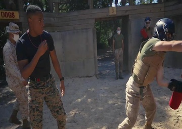 Pugil Sticks and Boxing