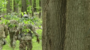 B-Roll: 29th CAB and 175th Inf. Reg. Conduct Air Assault Training