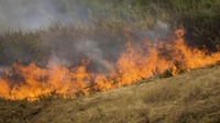 Pendleton fire department uses prescribed burns to help environment, prevent wildfires