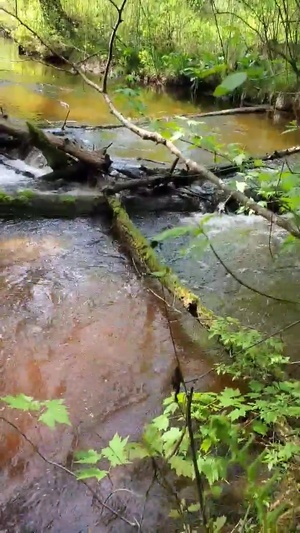 Scenic View of La Crosse River at Pine View Recreation Area at Fort McCoy